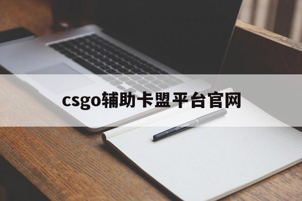 csgo辅助卡盟平台官网(csgoskeet辅助官网)